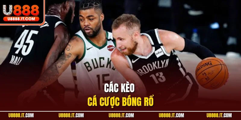 Các kèo cá cược bóng rổ