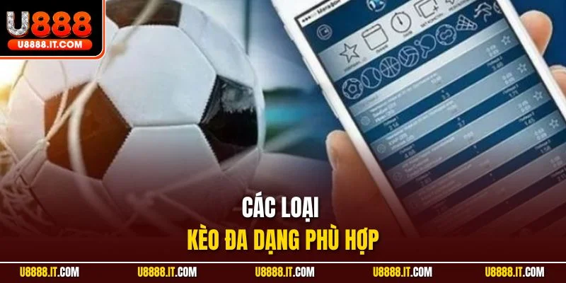 Các loại kèo đa dạng phù hợp