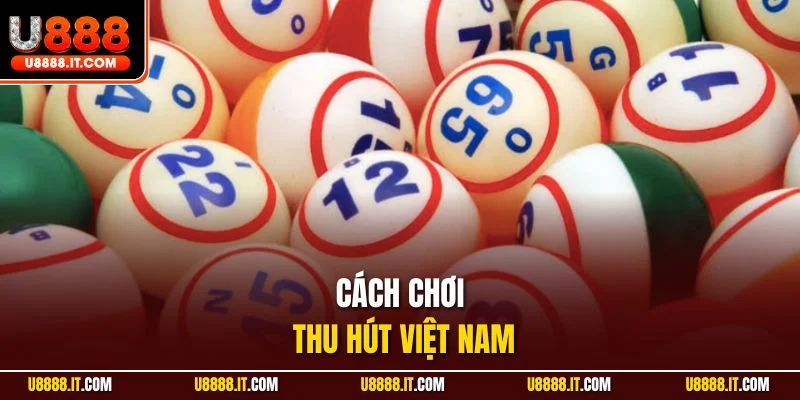 Cách chơi thu hút Việt Nam