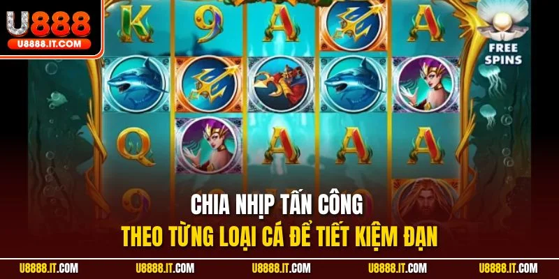Chia nhịp tấn công theo từng loại cá để tiết kiệm đạn