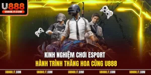 Kinh nghiệm chơi Esport